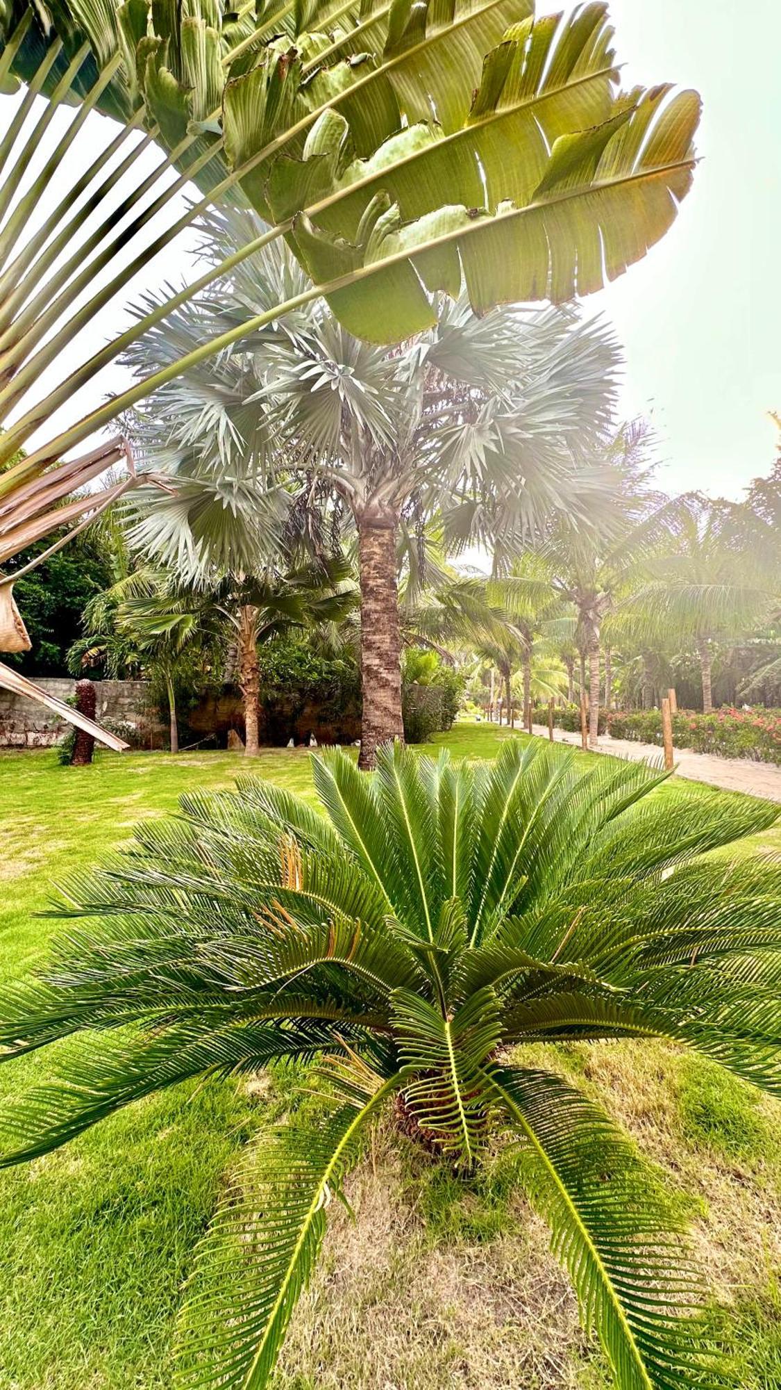 Villa Jaguar Fortim Exterior photo